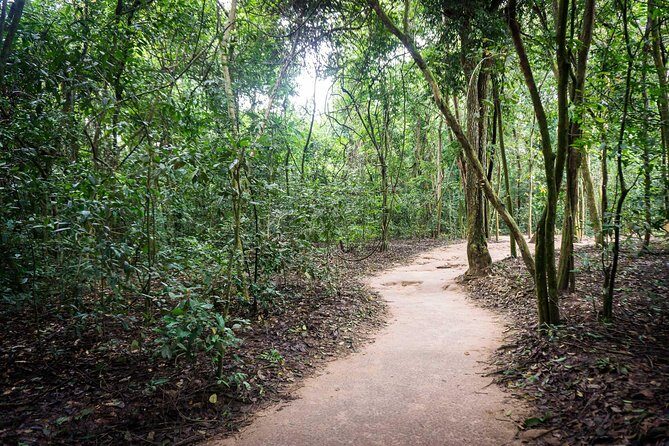 Afternoon Cu Chi Tunnels - Small Group Half-Day Tour - Why the Afternoon Cu Chi Plan Works (and When It Doesn’t)