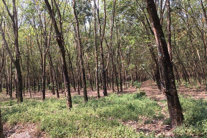 Ben Duoc - Authentic Cu Chi Tunnels Private Tour - Timing and what “6 hours” really feels like