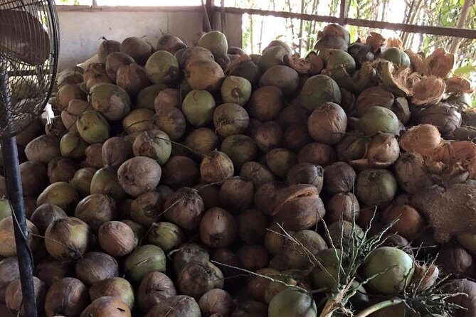 Cu Chi And Mekong Full Day Trip - Food, coconut workshops, and Southern music with fruit