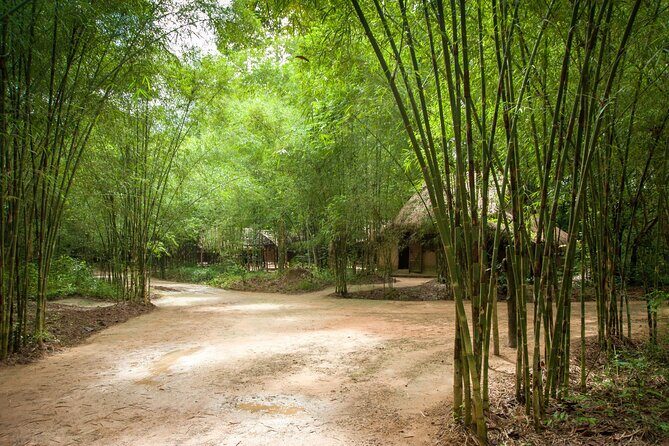 Cu Chi Tunnel Half Day - Small Group Tour - Entering Cu Chi: what your tunnel hour actually includes