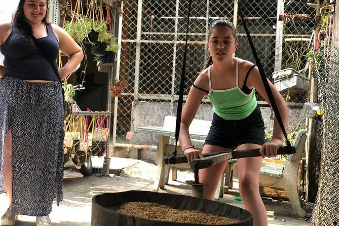 Private Cu Chi Tunnels Tour - Explore History & Off-the-path Local Sites - Snacks, water, and the pacing reality of a 7–8 hour day